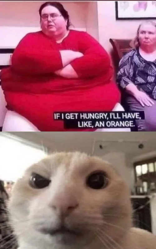 meme2
